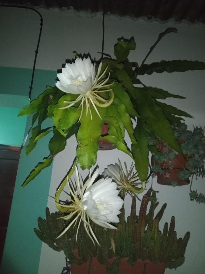 Lo De Su Salta Exterior foto